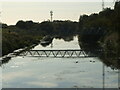 A bridge reflection