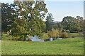 Pond, Old Palace Farm