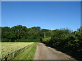 Track towards Tall Chimneys