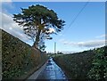 Minor road to Tedburn St Mary