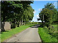 Road from Low Hameringham towards Mareham on the Hill