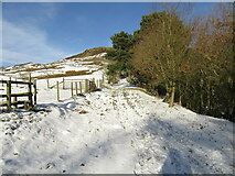 SE6999 : Path near Dale Head Farm by T  Eyre
