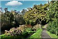 TG3613 : South Walsham, Fairhaven Garden: The King Oak Path by Michael Garlick