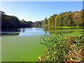 Lake at Birch Park