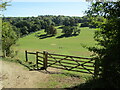 Polesden Lacey Estate