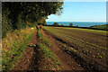 Footpath to the sea