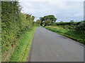 NY3744 : Hedge-lined minor road heading towards Raughton Head by Peter Wood