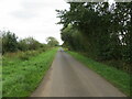 NY3841 : Tree and hedge-lined minor row heading towards Sowerby Row by Peter Wood