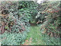 Footpath to Main Street, Aldwincle