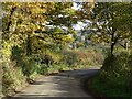 Country road approaching Colwall