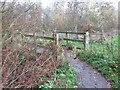 Footbridge, Big Waters Country Park