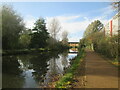 Footpath  alongside  Beverley  Beck  into  Beverley