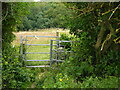 Kissing-gate above Wilton Farm Little Marlow