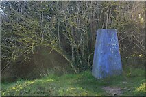 SX9456 : Brixham : Trig Point by Lewis Clarke