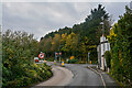 Brixham : Monksbridge Road