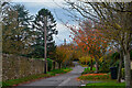 Churston Ferrers : Green Lane