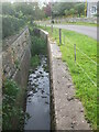 A stream along Stone Allerton Drove