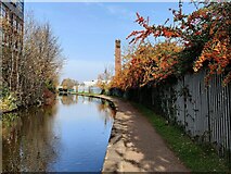 SP3380 : Towpath along the Coventry Canal by Mat Fascione
