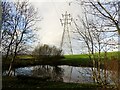 SD7509 : Pond and pylon by Philip Platt