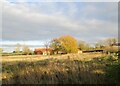 Uncultivated field and Willow Barn