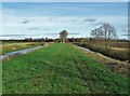 Path between The River Torne and South Engine Drain