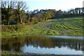 Farmland, Radnage