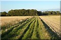 Farmland, Pyrton