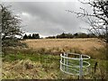 Kissing gate