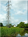 Canalside pylons and farmland near Trysull, Staffordshire