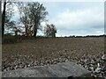 Residential development site, formerly Fole Dairy