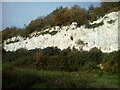 The White Cliffs of Chafford Hundred