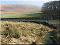 Fingland Burn near Clenries