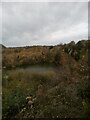 View over lake in Grays Gorge