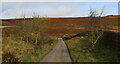 SD9954 : Track leading to Craggnook Farm by Chris Heaton