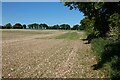 Farmland, Ham