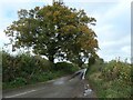 SK0334 : Roadside tree, Hothill Lane by Christine Johnstone