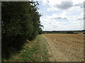 Bridleway to Little Oakley