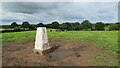 Trig point close to Gawsworth Road, Macclesfield