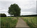 Bridleway to Geddington