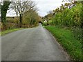 SO7931 : Country road in Eldersfield by Philip Halling