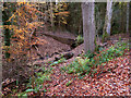 Footpath in Chatelherault Country Park