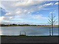 TL1894 : The Lake at Hampton Lakes, Peterborough by Richard Humphrey