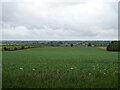 Crop field off Well High Lane