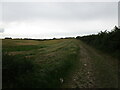 Farm track near Hillside Farm