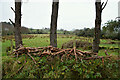 Bomackatall Upper Townland