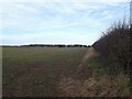 Field south of Raven Hill Farm