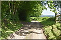 Bridleway near Double Gates