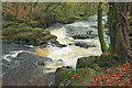 Rapids on River Erme