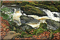 Rapids on River Erme