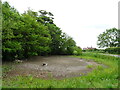 Dried up pond, Greetham